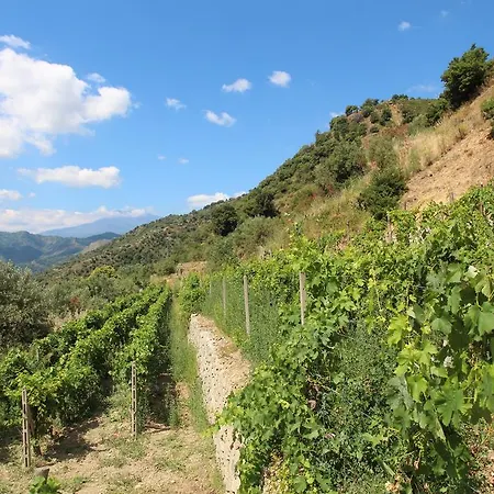 Séjour à la campagne Profetina Village Motta Camastra